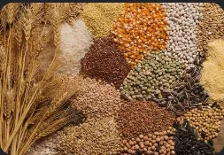 Agriculture products