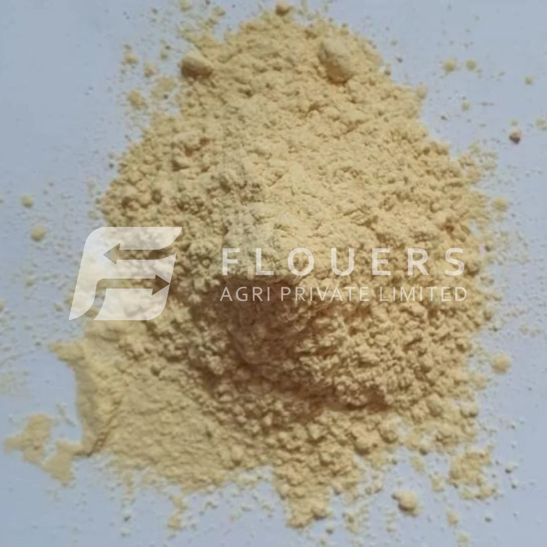 Dehydrated Garlic Powder