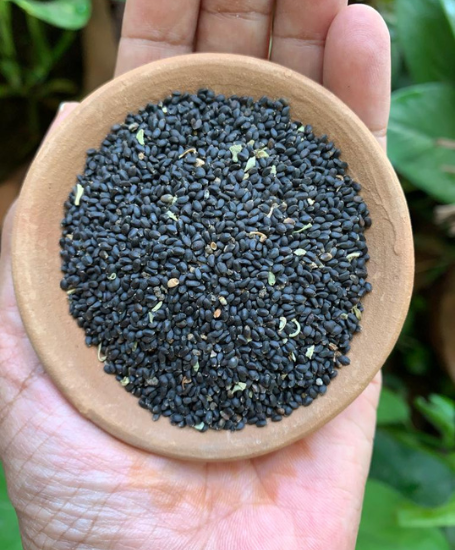 Basil Seed