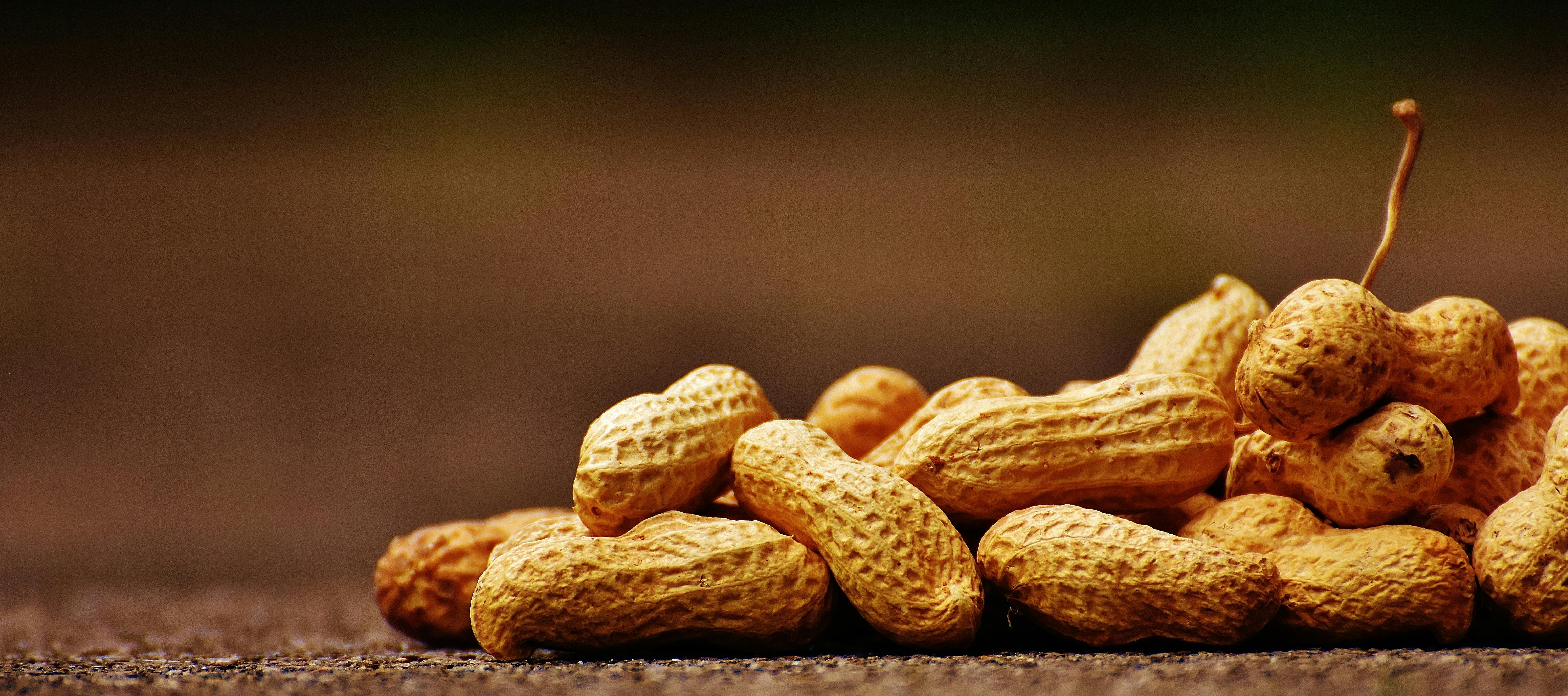PeaNuts