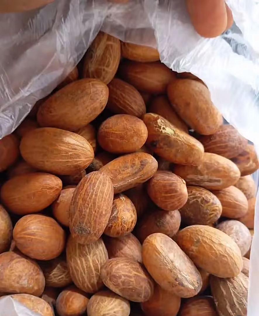 Bitter kola (Garcinia Kola)