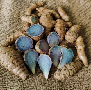 black turmeric