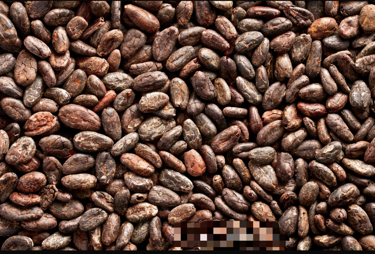 Cocoa Beans