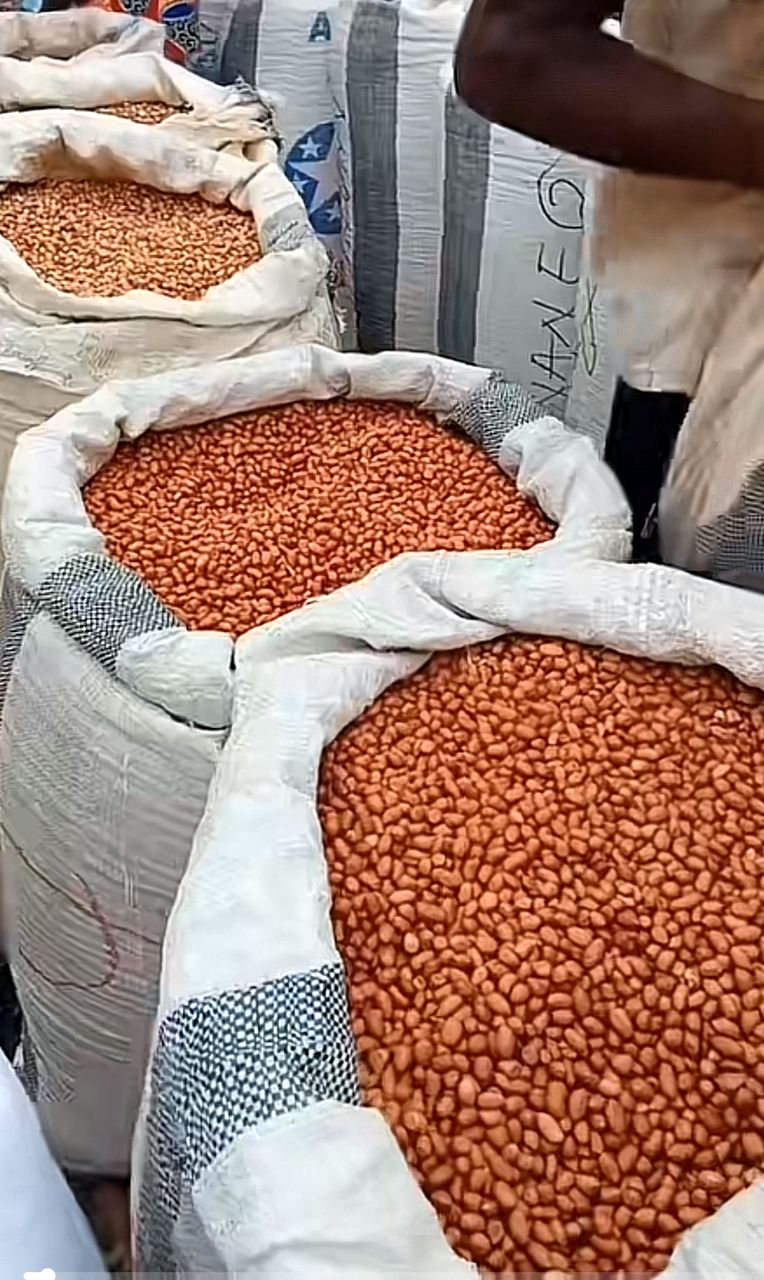Groundnuts (peanuts)