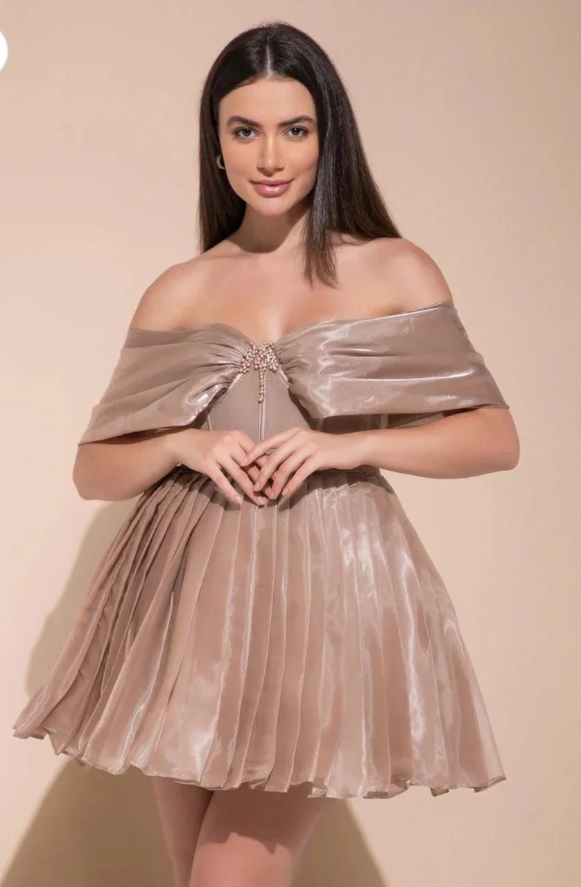 BROWN DRESS