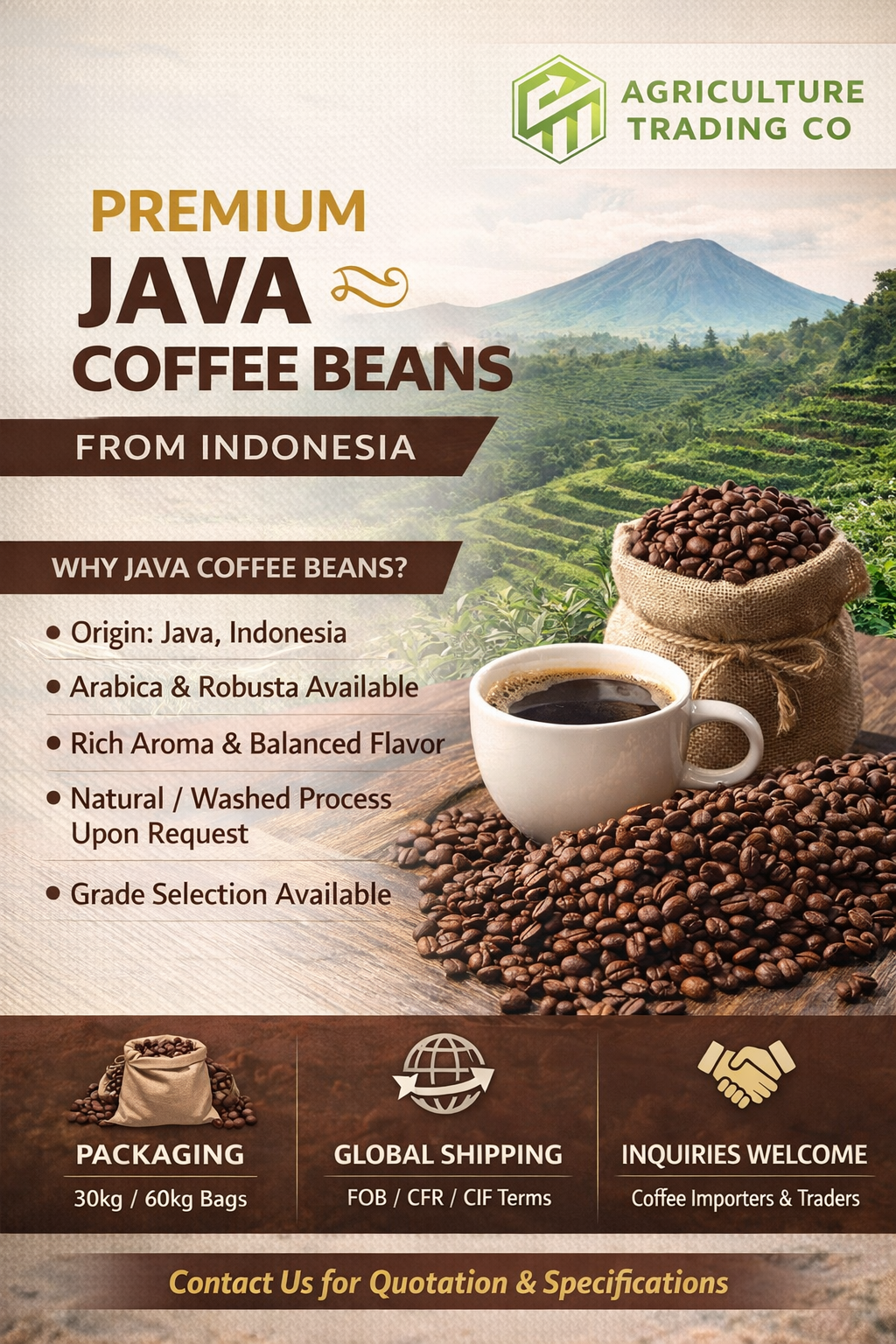 Arabica Java Coffe Bean