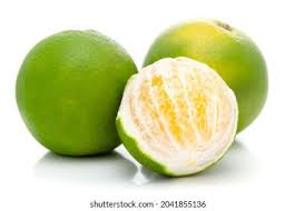 citrus (Mosambi)