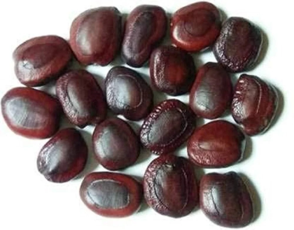 Tamarind Seeds,