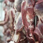Meat