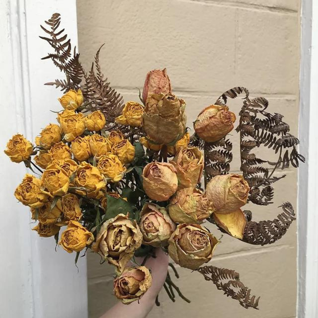 Dried Flowers