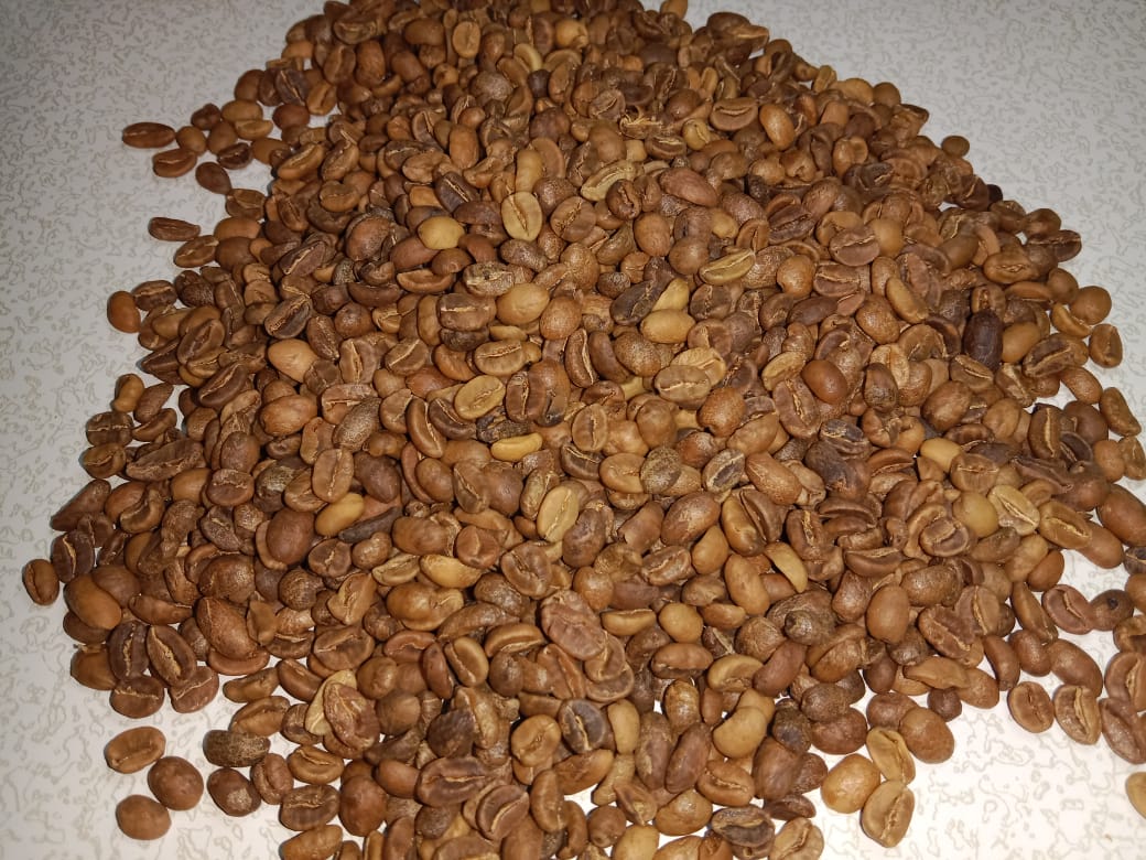 Grade 1 Gayo Arabica Wine-Strong
