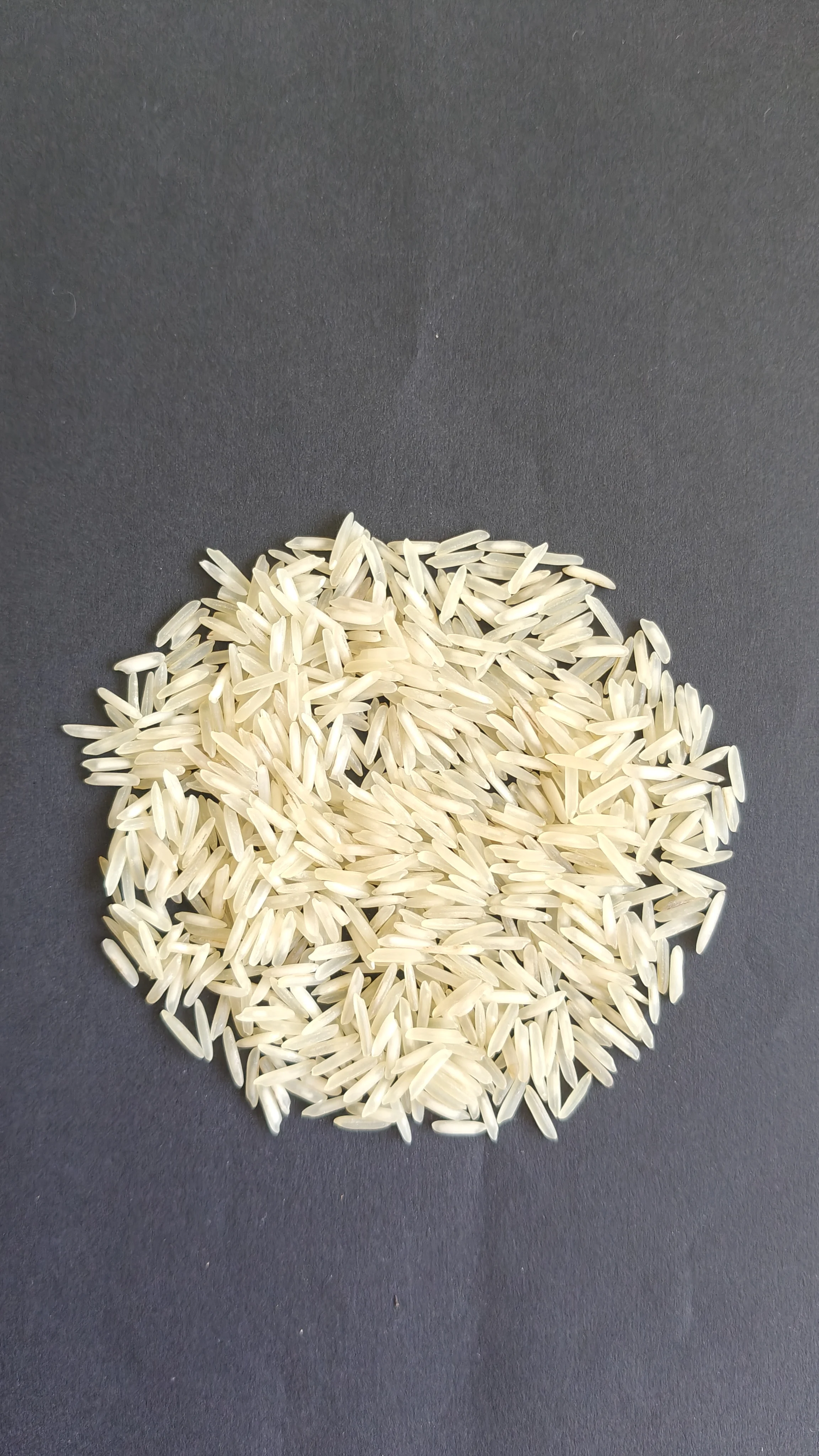 1509 Basmati Steam Rice