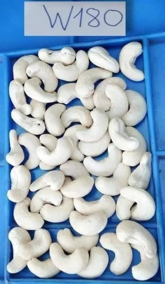 Premium W320 Cashew Nuts Exporter from India High-Quality Raw &amp; Processed Cashew Nuts Supplier Indian Cashew Kernels W180, W240, W320, W450 Premium Grade Cashew Nuts for Global Markets Natural Cashew Nuts – Bulk Export from India Best Quality White Wh