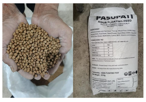 Fish feed 4mm
