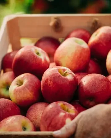 NZ grown Apple
