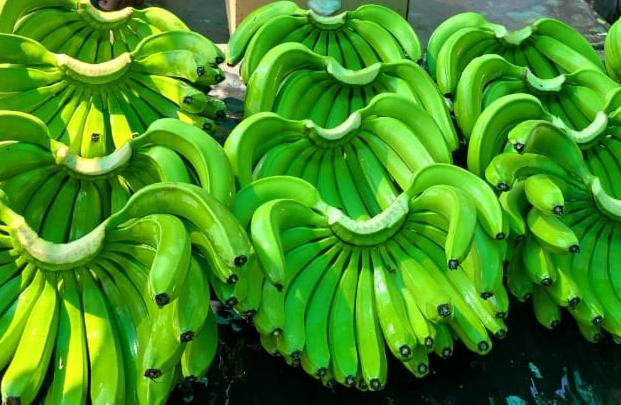 Green Banana