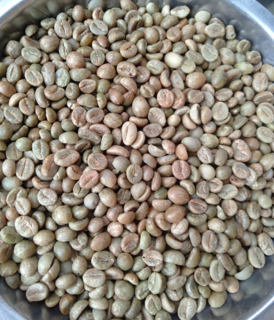 Grade 1 Robusta Sumatera Natural Process