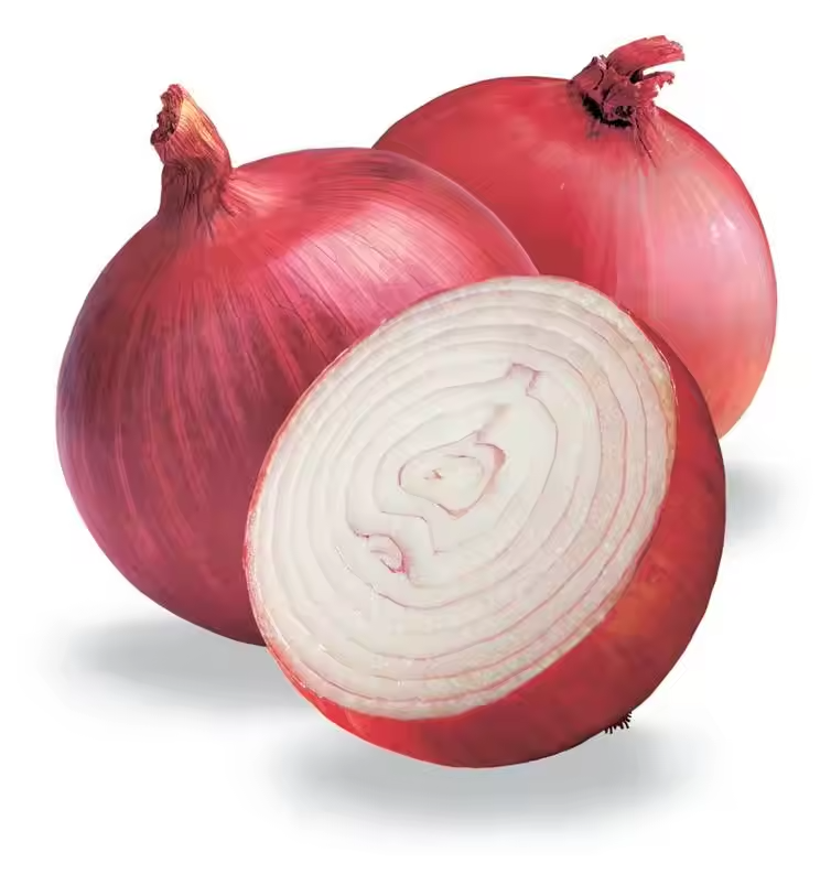 Fresh Onions for Wholesale &amp;amp;amp; Food Processing Use