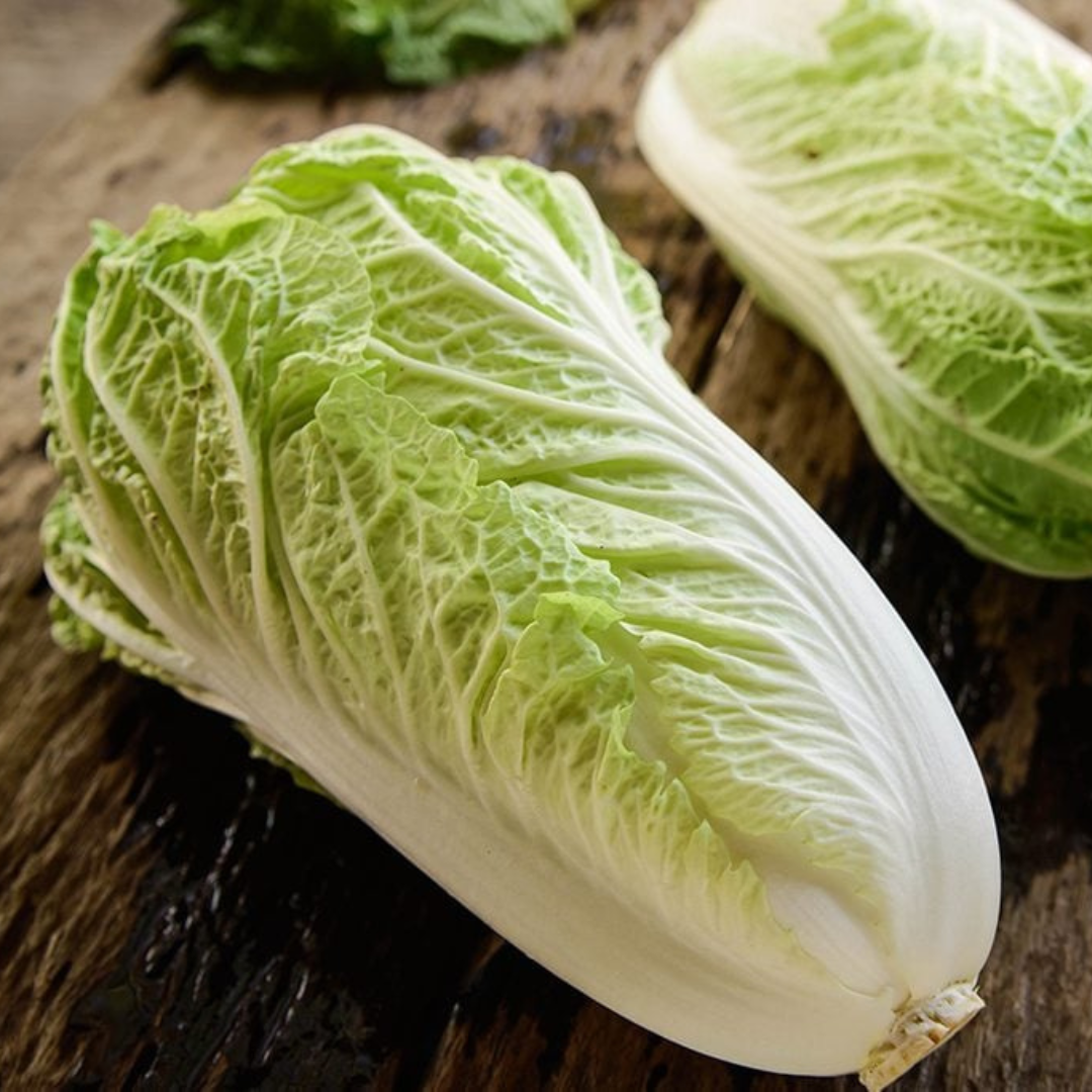 Fresh Celery Cabbage