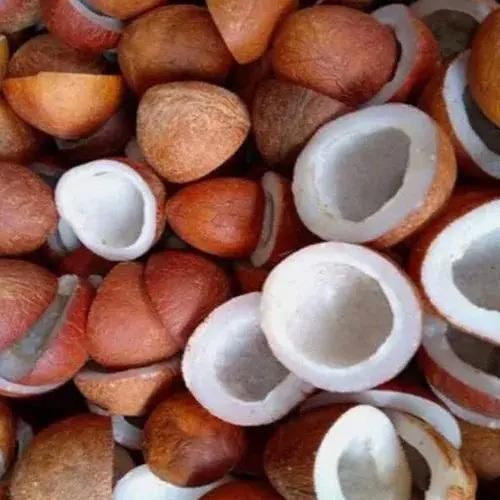 Dry Coconut