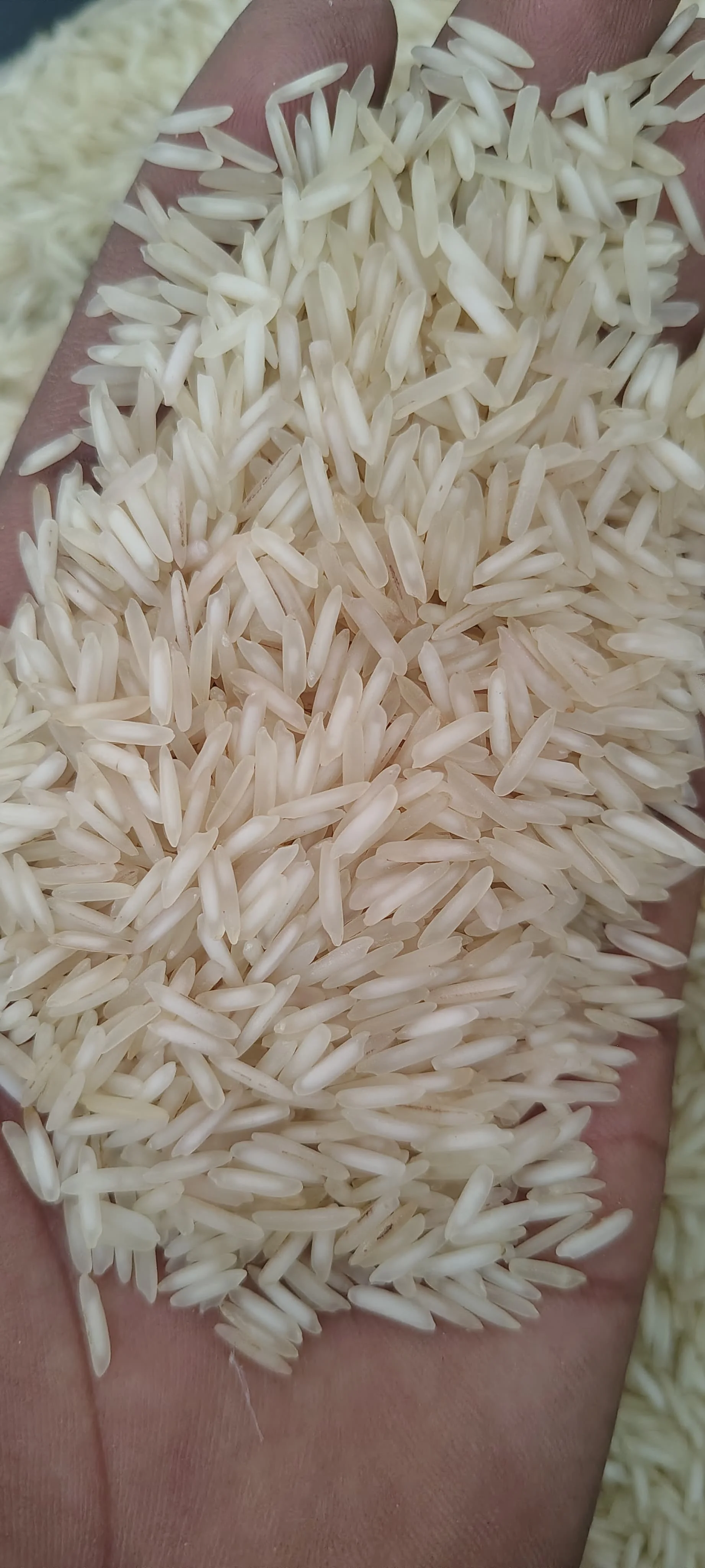 1121 STEAM BASMATI RICE