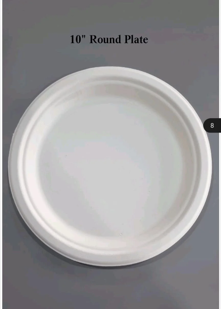 Bagasse tableware