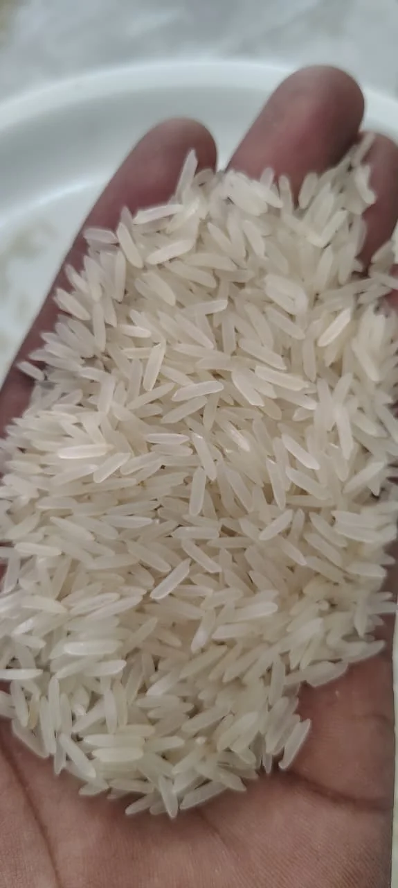 1121 basmati rice