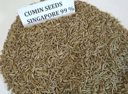 SINGAPORE 99%