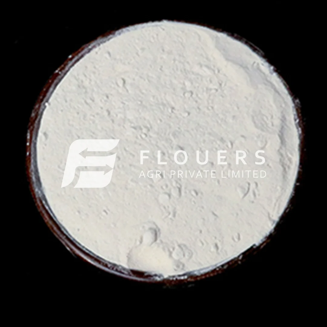 Dehydrated White Onion Powder