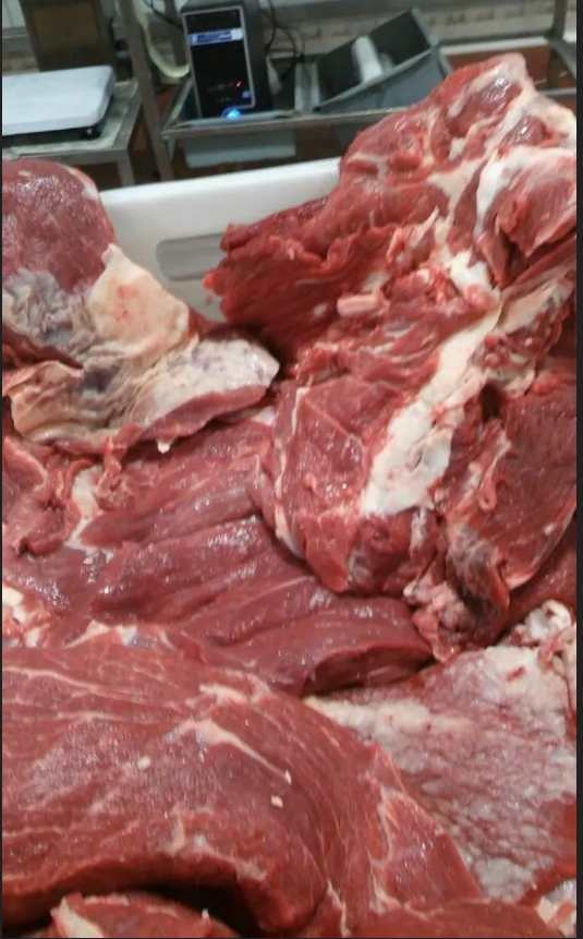 FROZEN AND CHILLED BEEF CARCASS/CUTS