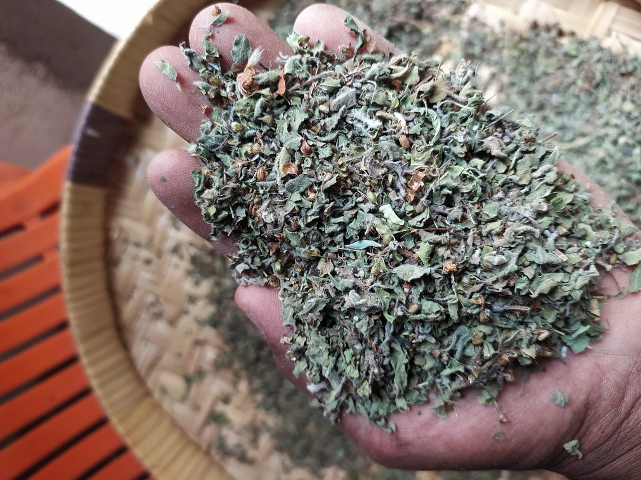 Tulsi Dry Leaves