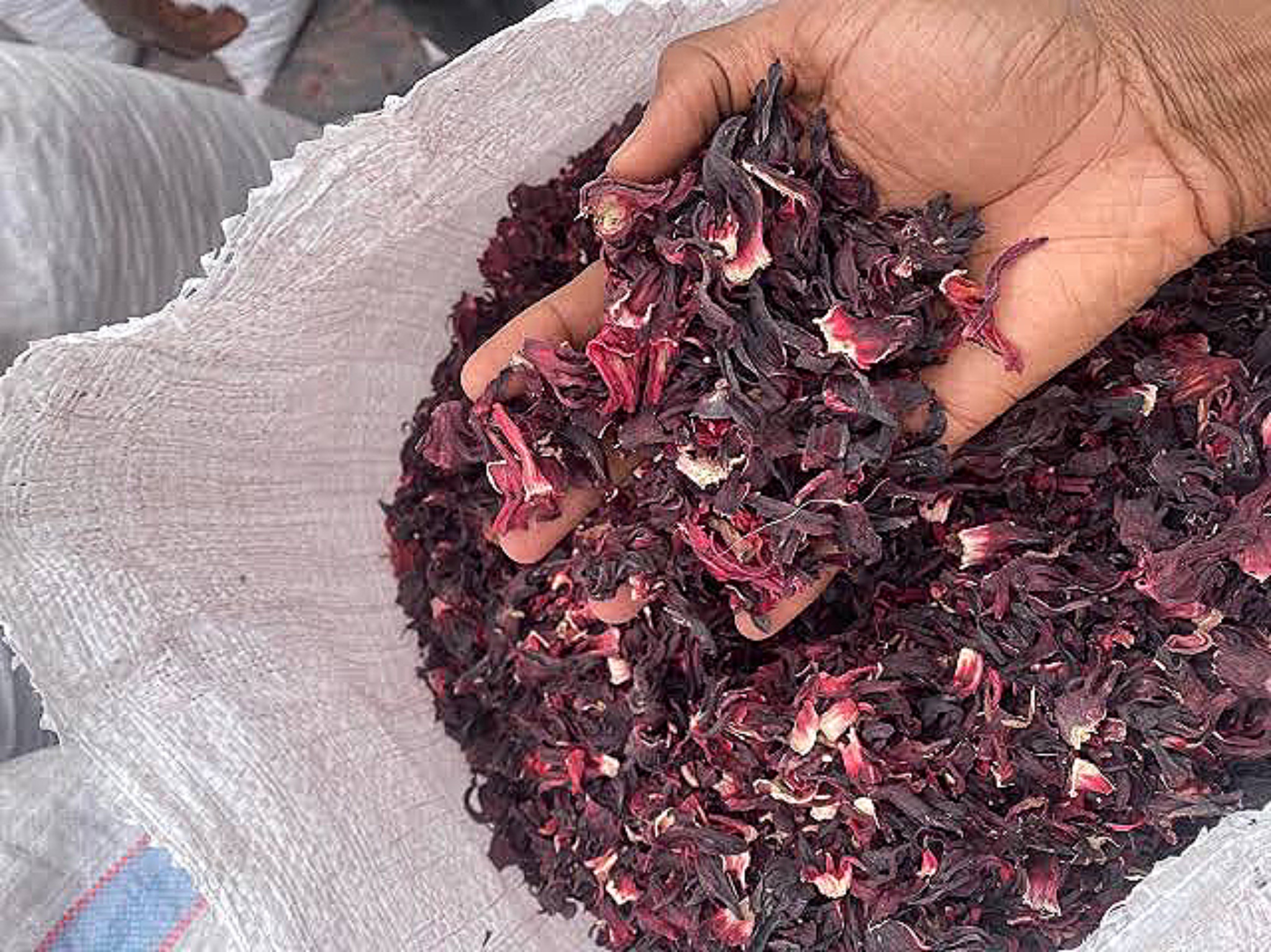 DRIED HIBISCUS FLOWER 