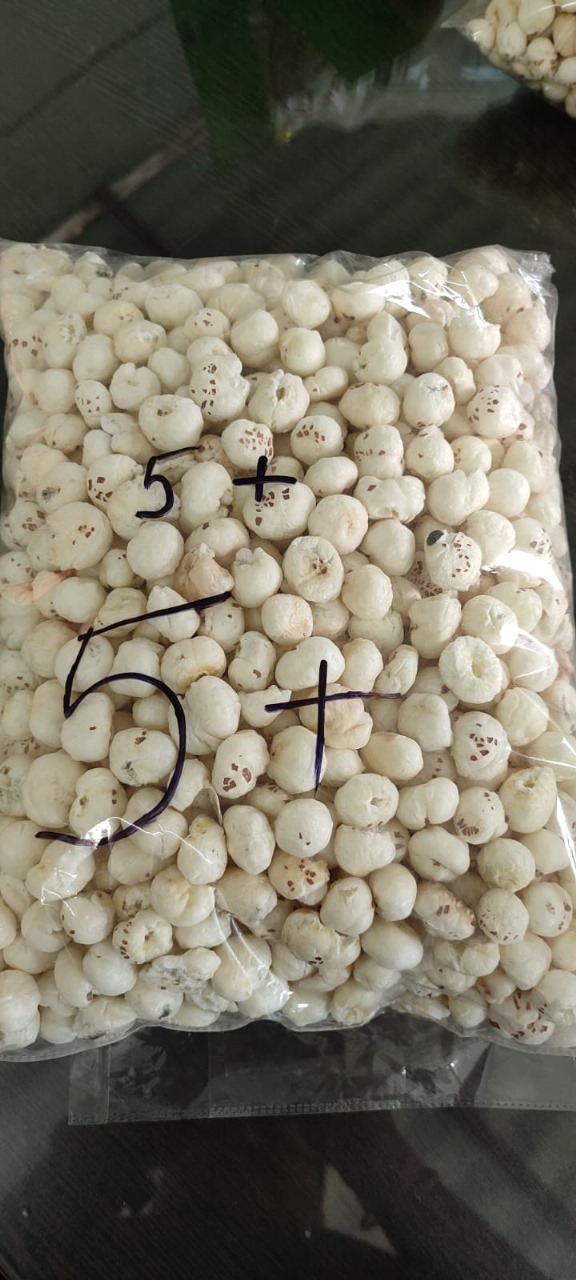 MAKHANA