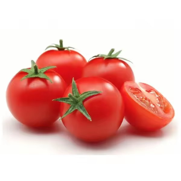 Fresh Tomato for Culinary &amp; Food Processing Use