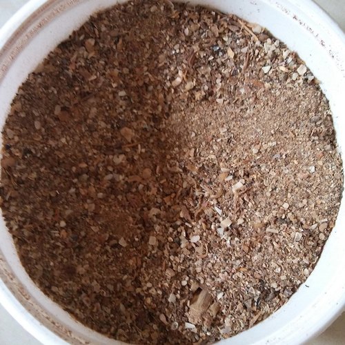 Fish Meal 