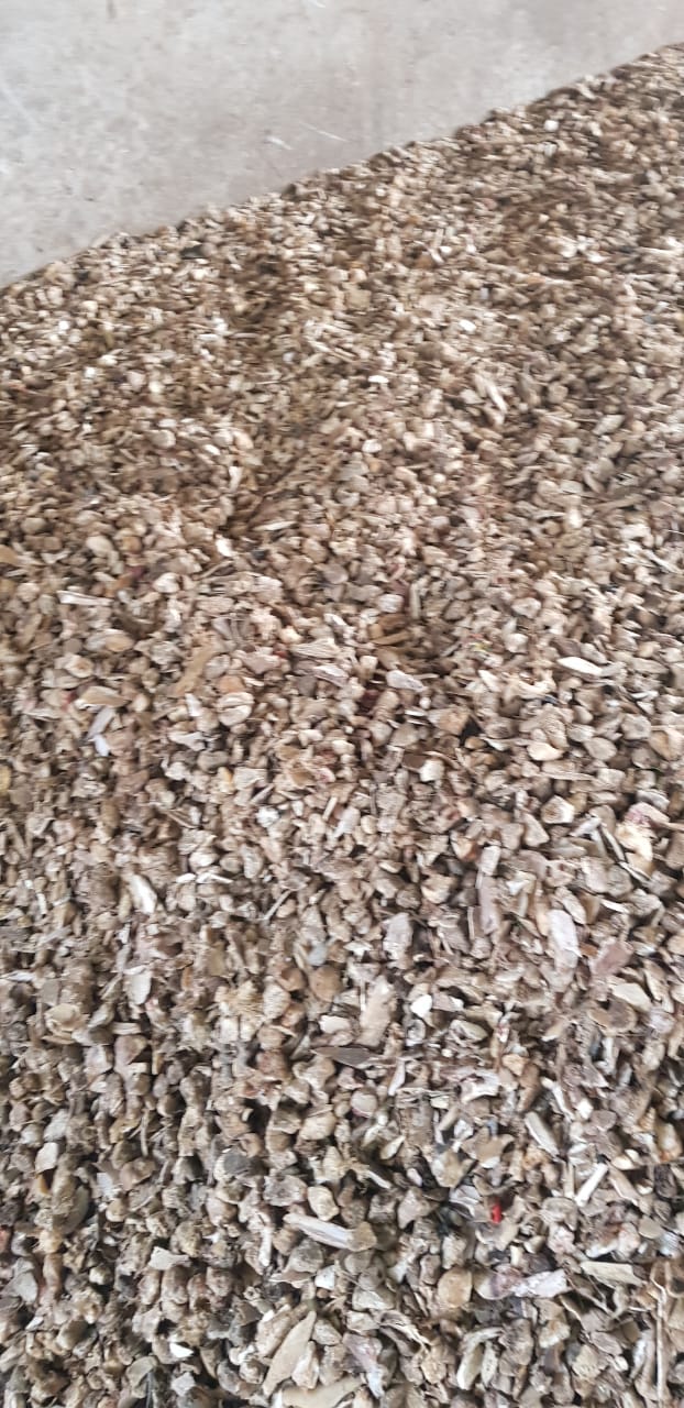 Crush Bone 