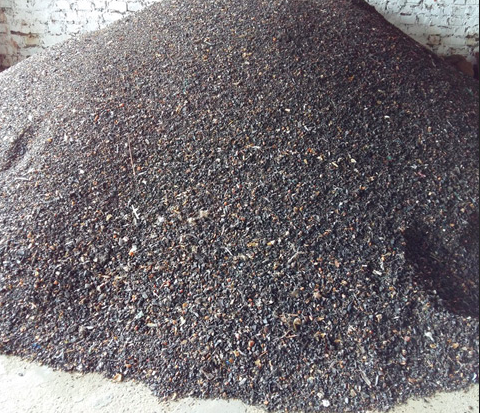 Horn Esteem Powder 