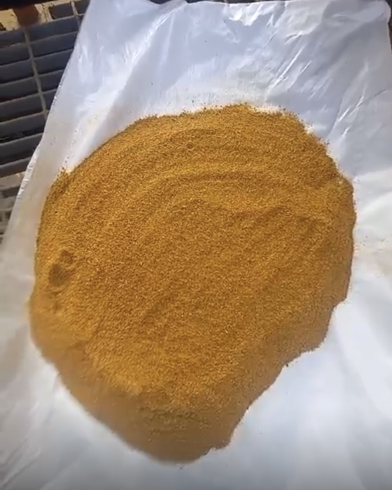 DDGS Powder 
