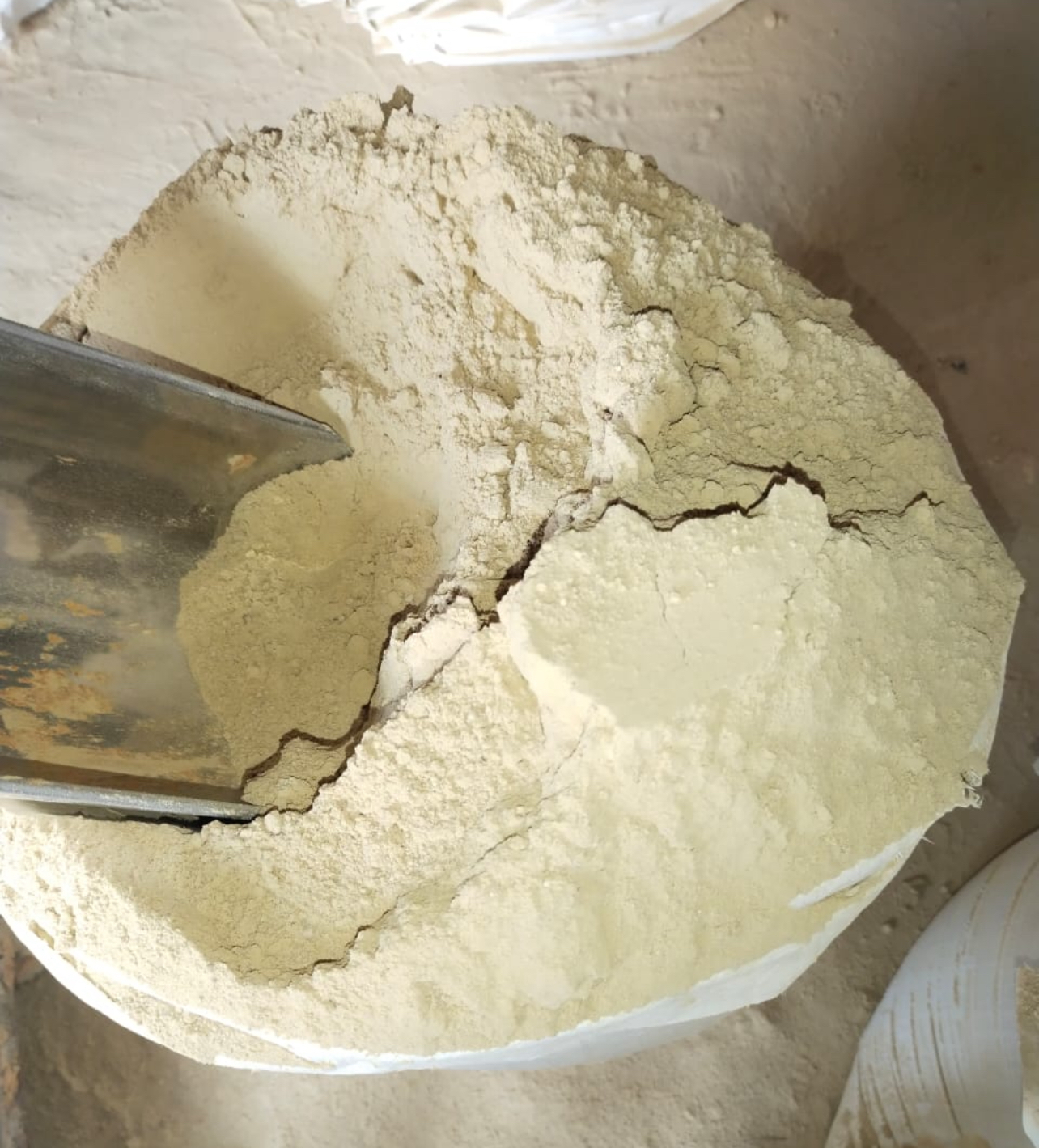 Meat Meal Powder 