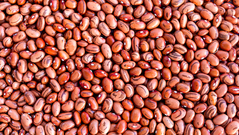 Red Kidney Beans