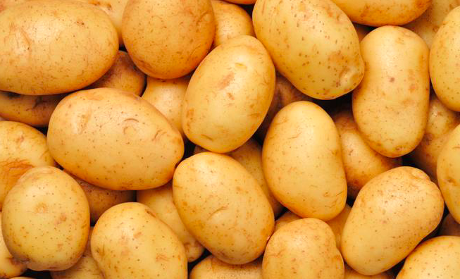 Fresh Potato 