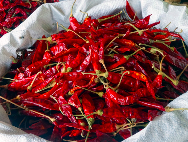 Red Chili 