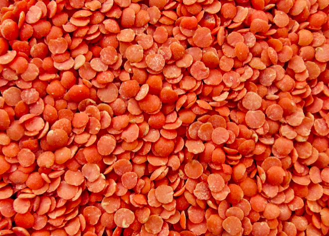 Red Lentil 