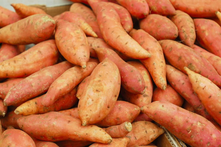 Sweet Potato 