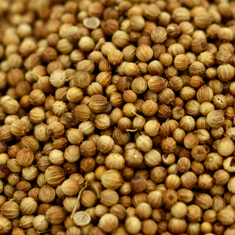 Coriander