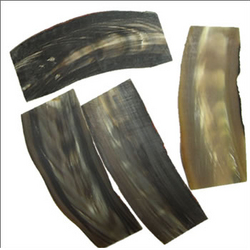 Buffalo Horn Plate 