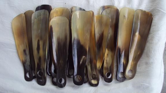 Shoe Horn 