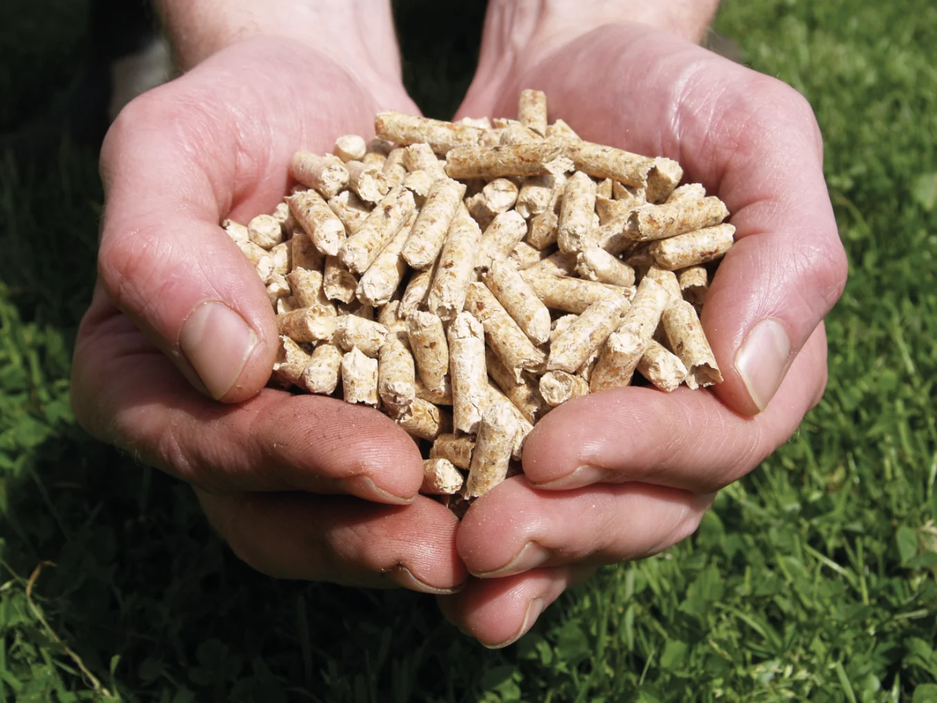 High-Efficiency Wood Pellets