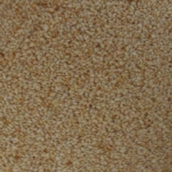 Sesame Seeds