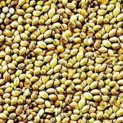 Coriander Seeds